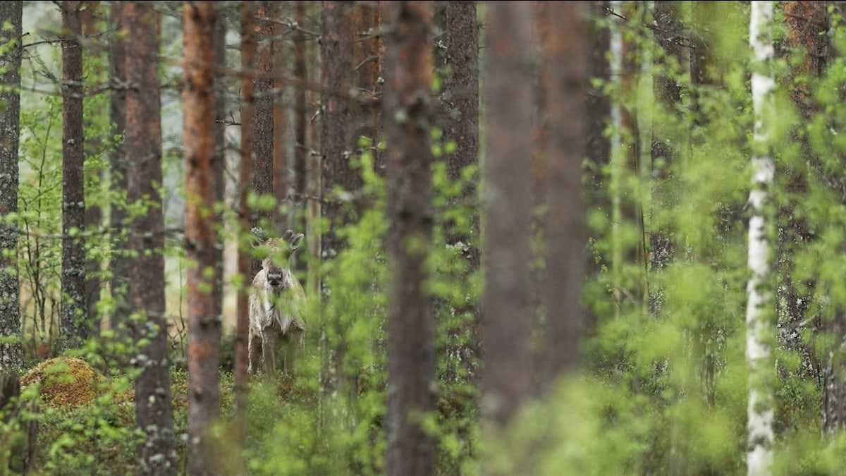 Kuidas teha tervislikke toiduvalikuid igapäevaselt